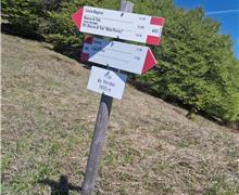 IMG-20260426-WA0036 - Gigliola Ioppi